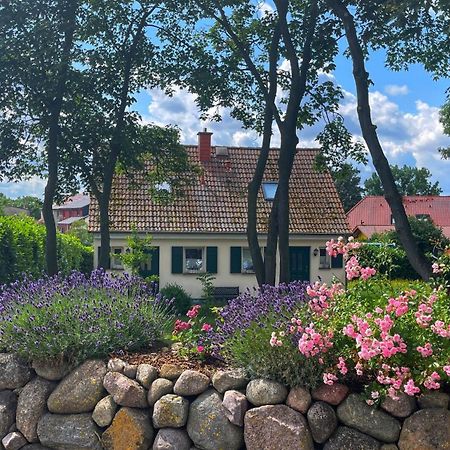 Ferienwohnung 1010 Mit Seeblick Ziemitz Eksteriør bilde